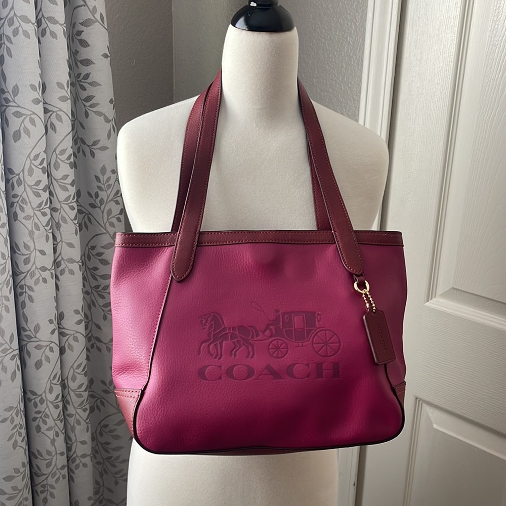 Tote 27 In Colorblock with Horse and Carriage